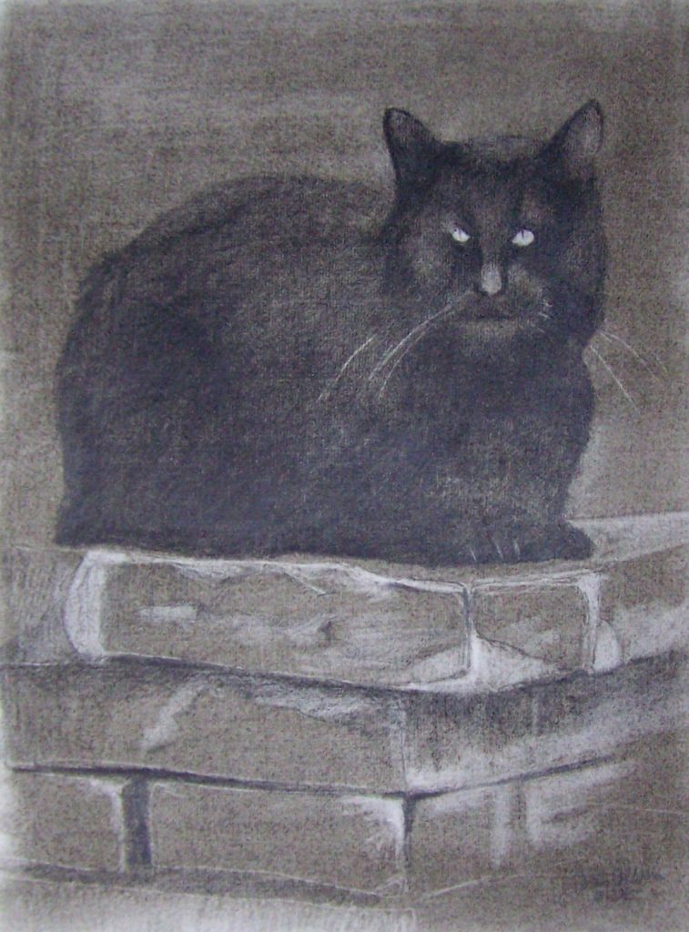 Schwarze Katze #2, Zeichnung